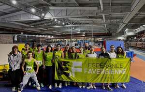 Résultats meeting des Alpes le 21 décembre à Lyon