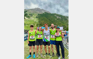 Championnat de France de courses en montagne